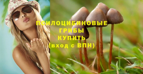 марки nbome Алзамай