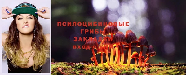 метамфетамин Алексин