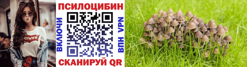 где найти наркотики  Ревда  Галлюциногенные грибы MAGIC MUSHROOMS 