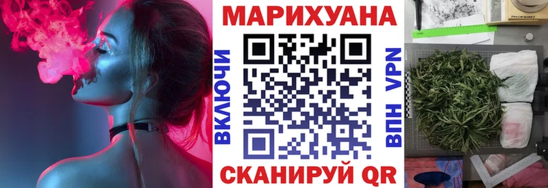 Конопля сатива  Ревда 